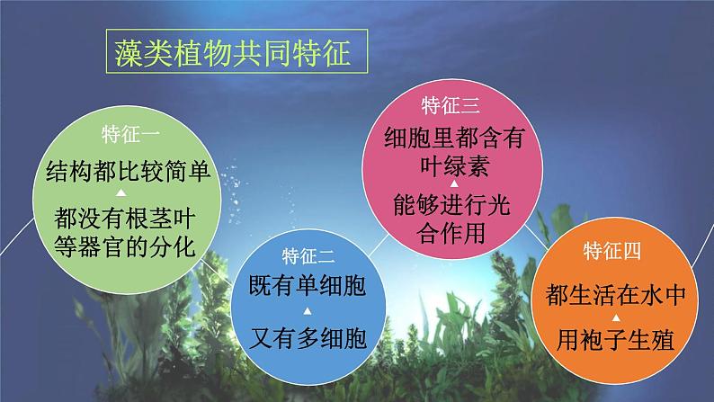 14.1.1 五彩缤纷的植物世界 （课件）苏教版生物八年级上册第8页