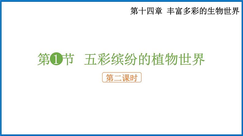 14.1.2 五彩缤纷的植物世界 （课件）苏教版生物八年级上册第1页