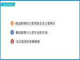 14.1.2 五彩缤纷的植物世界 （课件）苏教版生物八年级上册