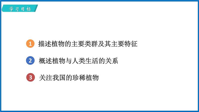 14.1.2 五彩缤纷的植物世界 （课件）苏教版生物八年级上册第2页