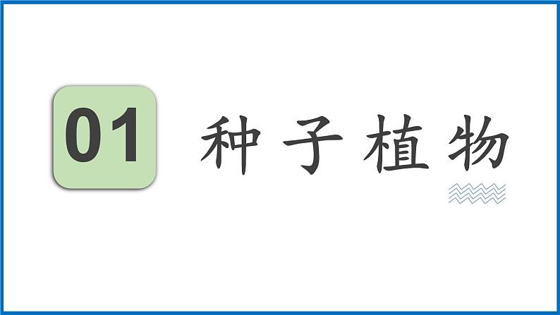 14.1.2 五彩缤纷的植物世界 （课件）苏教版生物八年级上册第3页