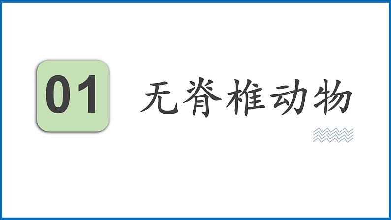 14.2.1 千姿百态的动物世界 （课件）苏教版生物八年级上册第3页