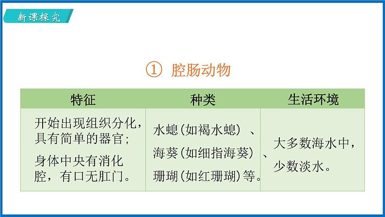 14.2.1 千姿百态的动物世界 （课件）苏教版生物八年级上册第6页