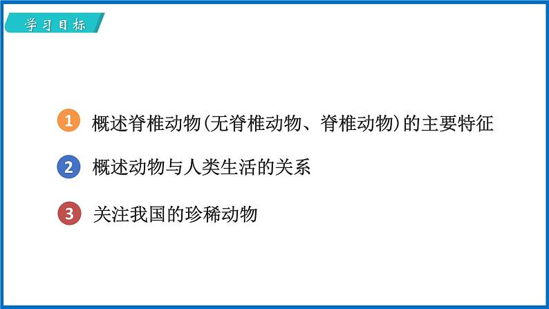 14.2.2 千姿百态的动物世界 （课件）苏教版生物八年级上册02