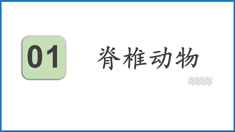 14.2.2 千姿百态的动物世界 （课件）苏教版生物八年级上册03