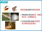 14.2.2 千姿百态的动物世界 （课件）苏教版生物八年级上册