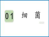 14.3 神奇的微生物 （课件）苏教版生物八年级上册