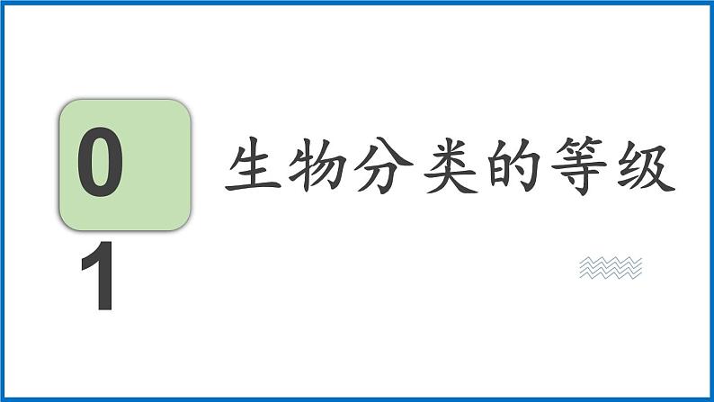 14.4 生物的分类 （课件）苏教版生物八年级上册03