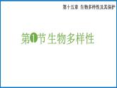 15.1 生物多样性 （课件）苏教版生物八年级上册