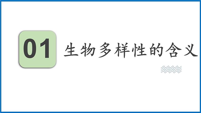 15.1 生物多样性 （课件）苏教版生物八年级上册03