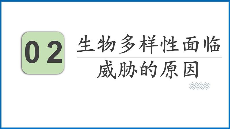 15.2 保护生物多样性的艰巨使命 （课件）苏教版生物八年级上册07