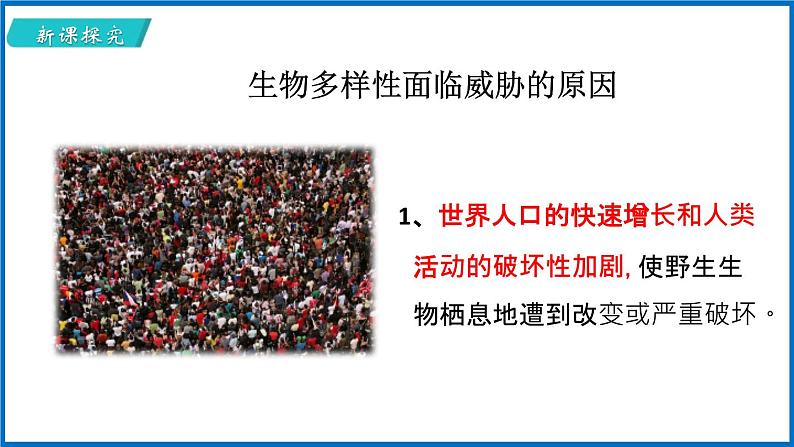 15.2 保护生物多样性的艰巨使命 （课件）苏教版生物八年级上册08