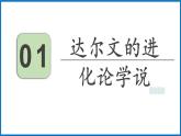 16.3 生物进化的学说 （课件）苏教版生物八年级上册