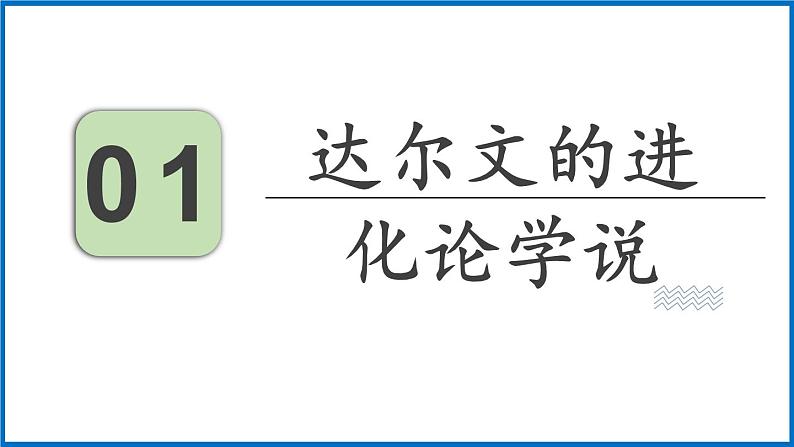 16.3 生物进化的学说 （课件）苏教版生物八年级上册03