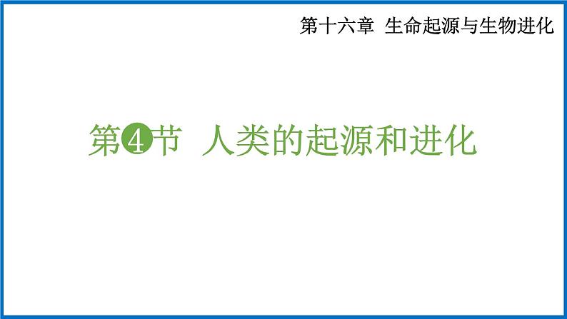 16.4 人类的起源和进化 （课件）苏教版生物八年级上册第1页