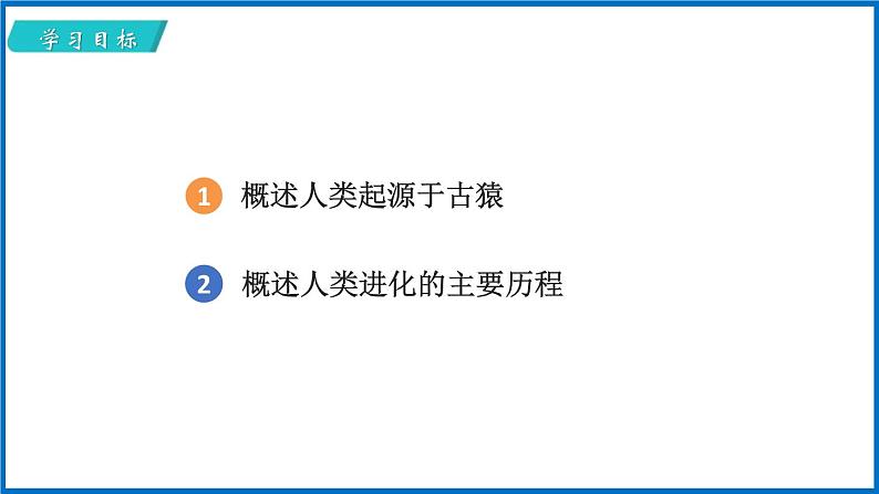 16.4 人类的起源和进化 （课件）苏教版生物八年级上册第2页