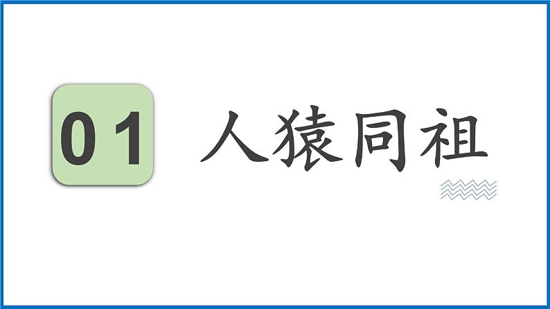 16.4 人类的起源和进化 （课件）苏教版生物八年级上册第4页