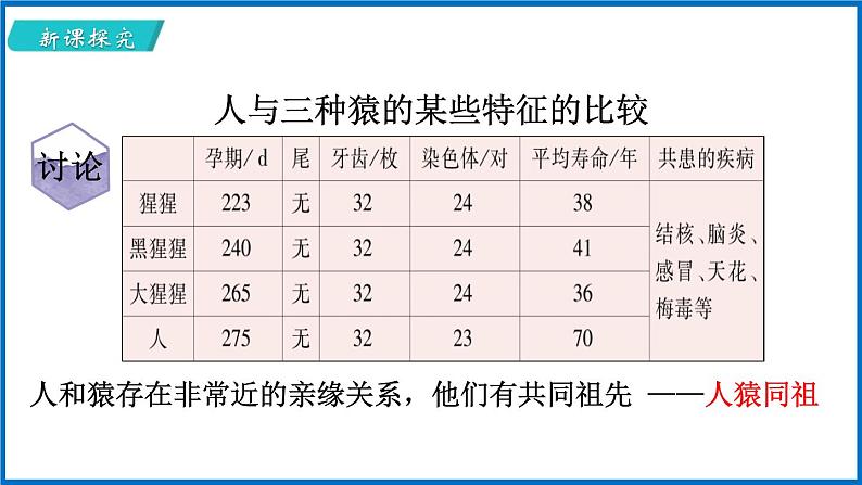 16.4 人类的起源和进化 （课件）苏教版生物八年级上册第8页