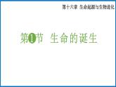 16.1 生命的诞生 （课件）苏教版生物八年级上册