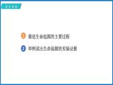 16.1 生命的诞生 （课件）苏教版生物八年级上册