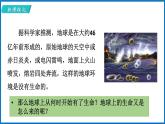 16.1 生命的诞生 （课件）苏教版生物八年级上册