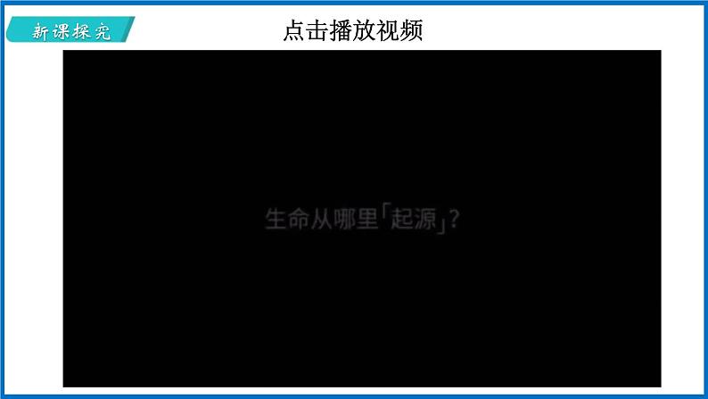 16.1 生命的诞生 （课件）苏教版生物八年级上册05