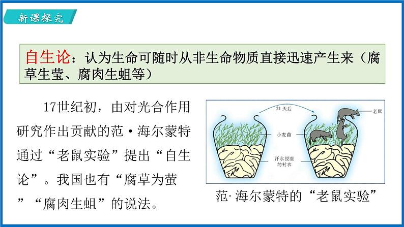 16.1 生命的诞生 （课件）苏教版生物八年级上册06