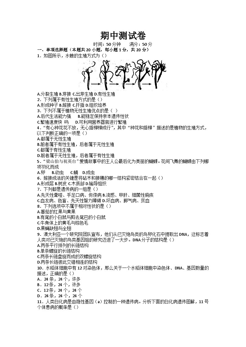 吉林省松原市宁江区三校2022-2023学年九年级下学期期中生物试题第1页