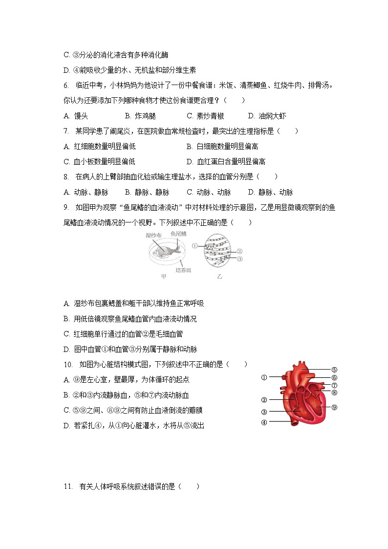 2022-2023学年辽宁省沈阳市浑南区七年级（下）期中生物试卷（含解析）第2页