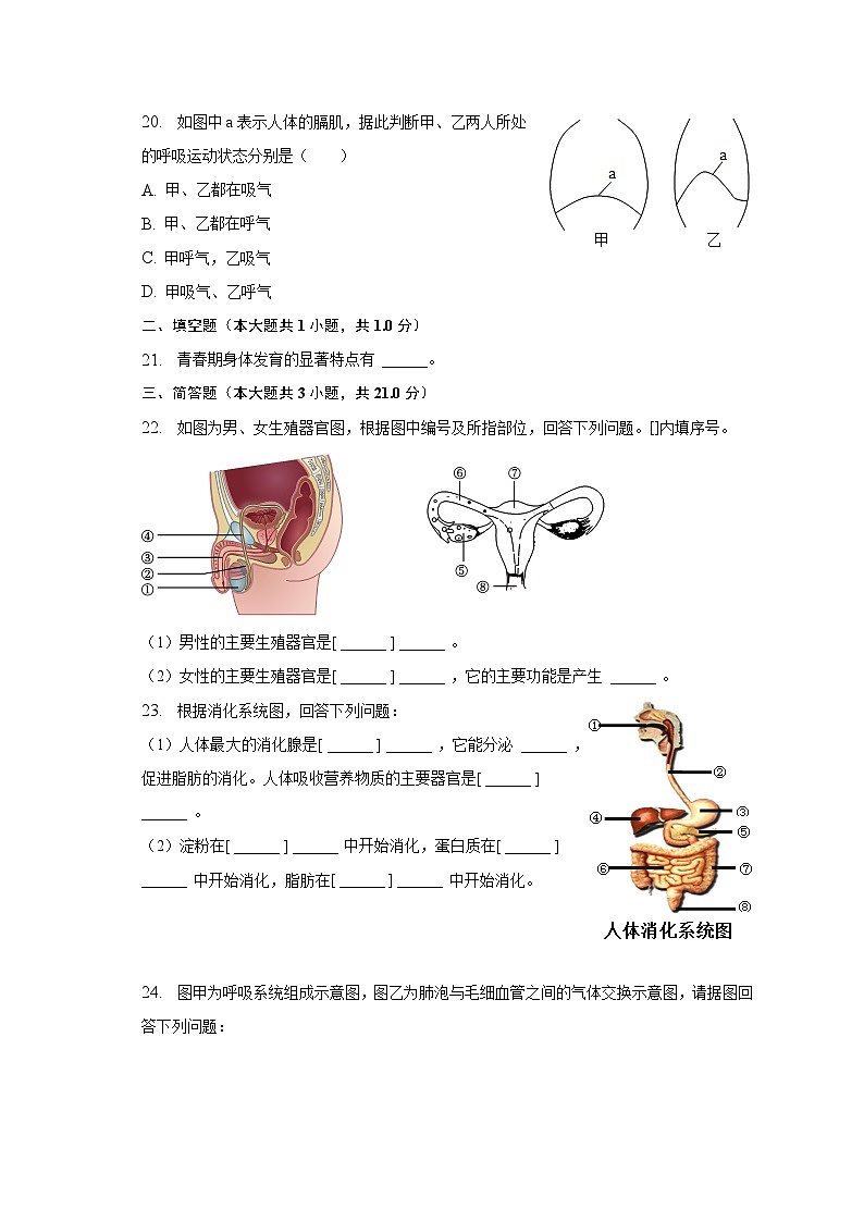 2022-2023学年湖北省襄阳市枣阳市吴店二中七年级（下）期中生物试卷（含解析）03