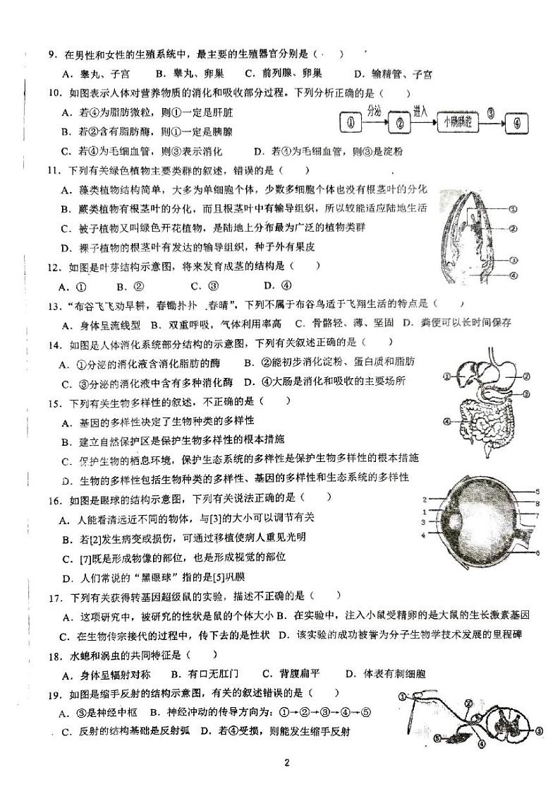 山东省青岛市胶州市瑞华中学2022-2023学年八年级下学期月考生物试题第2页