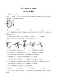 山东省淄博市第十一中学2022-2023学年九年级上学期10月学习检测生物试题