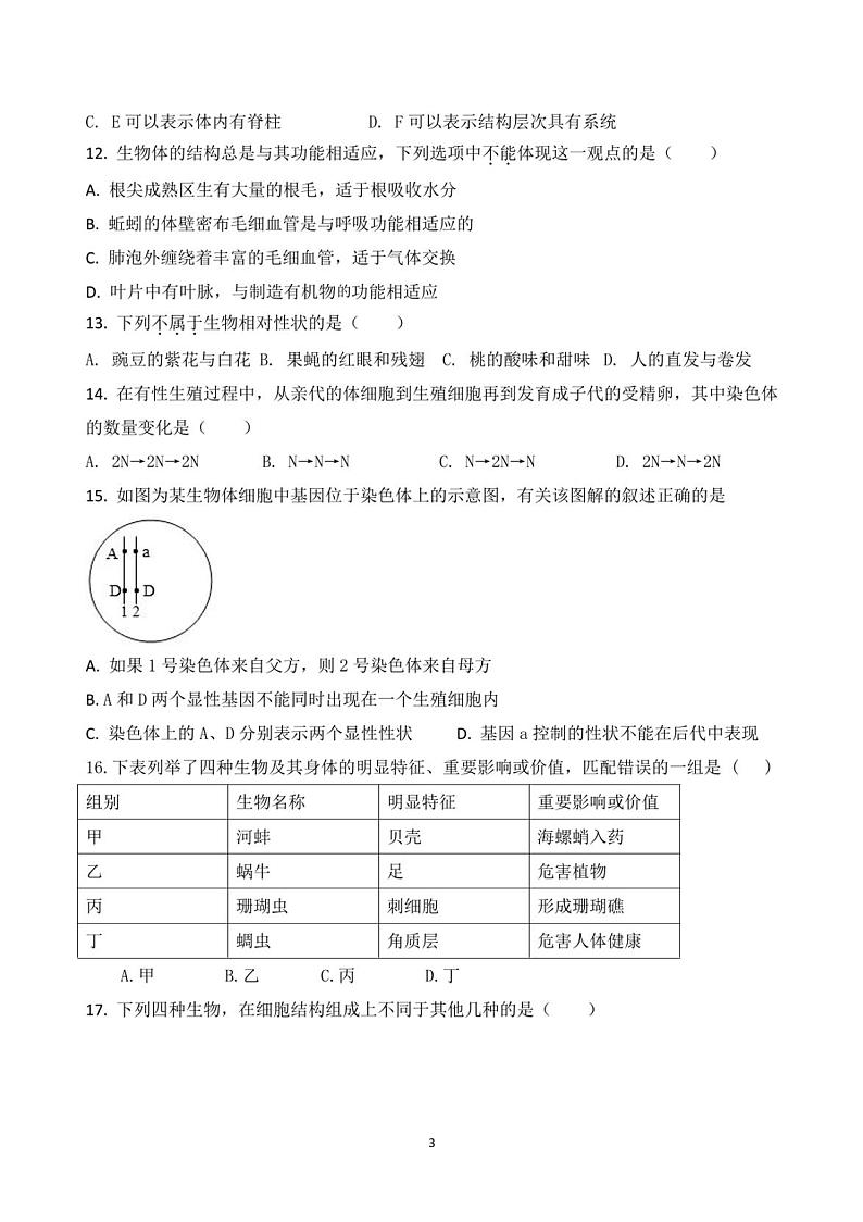 山东省淄博市第十一中学2022-2023学年九年级上学期10月学习检测生物试题第3页