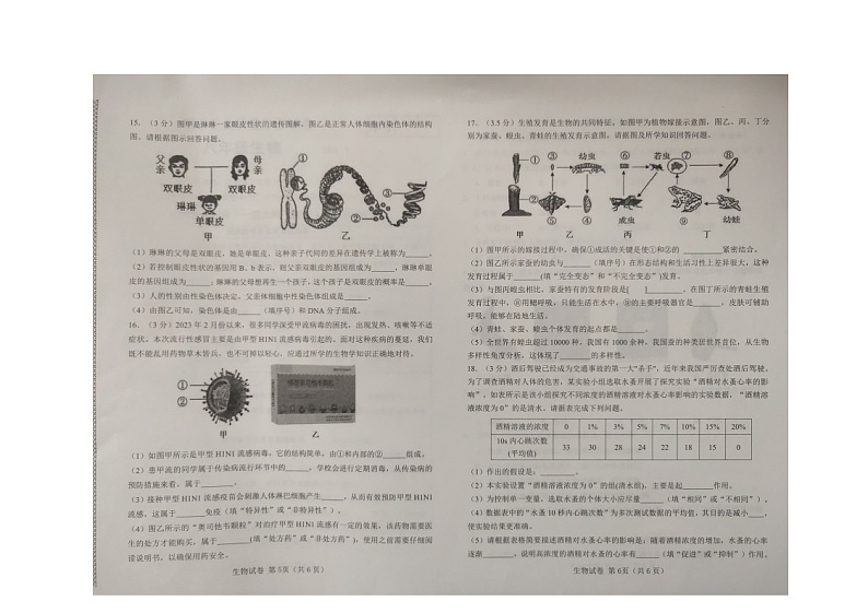 辽宁省大连市金州区2022-2023学年八年级下学期期中生物试题03