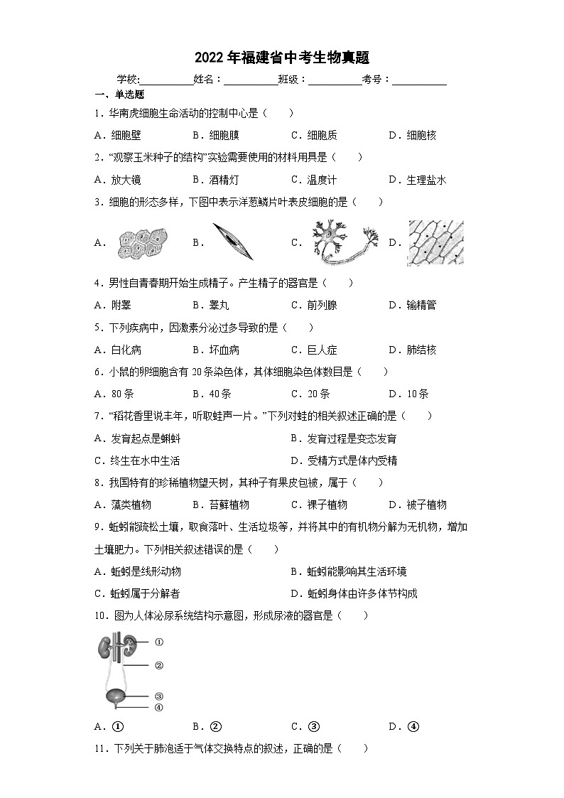 2022年福建省_中考生物真题 含答案和解析01