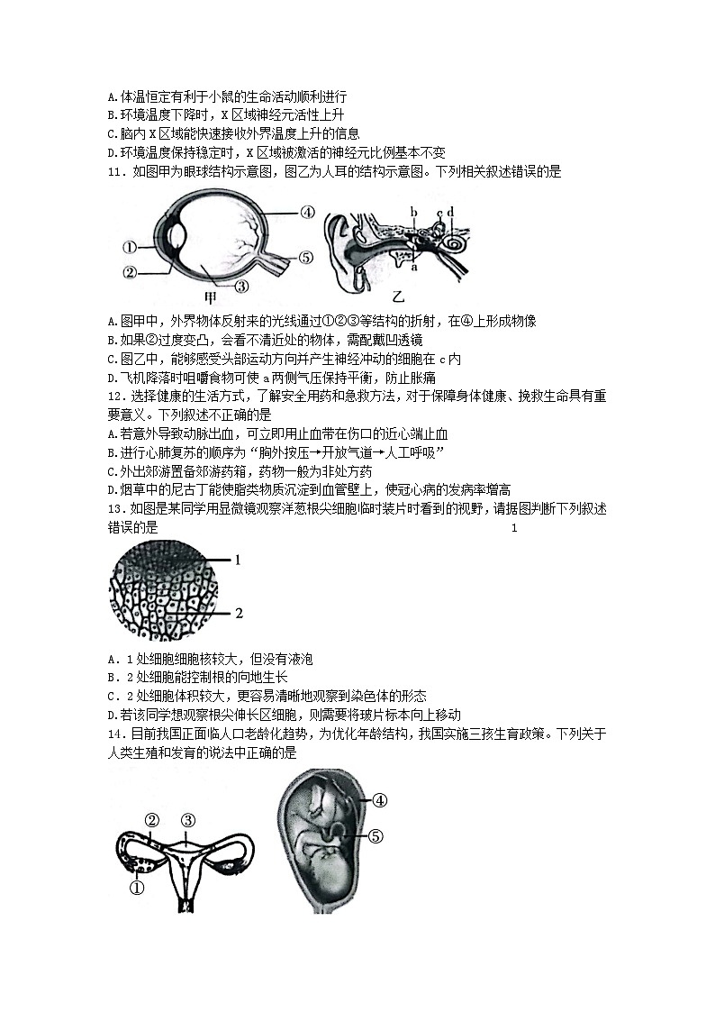 2023年山东省潍坊市潍城区初中学业水平考试二模生物试题（含答案）03