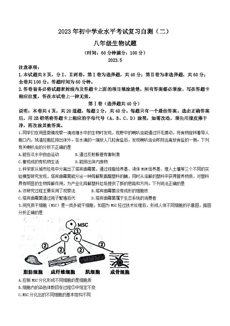 2023年山东省潍坊市诸城中考二模生物试题（含答案）01