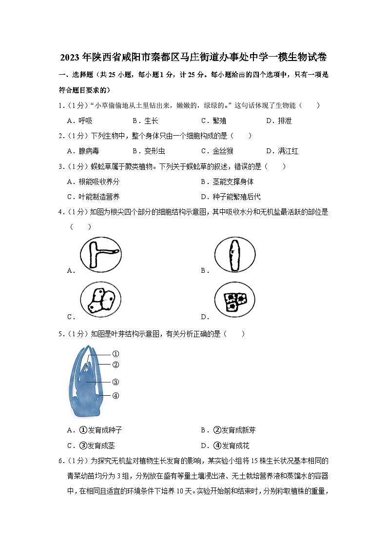 2023年陕西省咸阳市秦都区马庄街道办事处初级中学一模生物试卷（含答案）第1页
