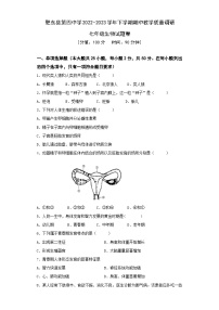 安徽省肥东县第四中学2022-2023学年下学期期中教学质量调研七年级生物试题