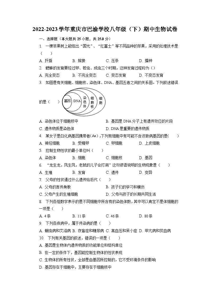 重庆市巴渝学校2022-2023学年八年级下学期期中考试生物试题01