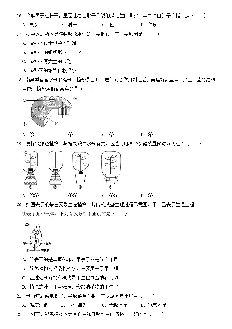 苏教版七年级上册生物期末试卷1第3页