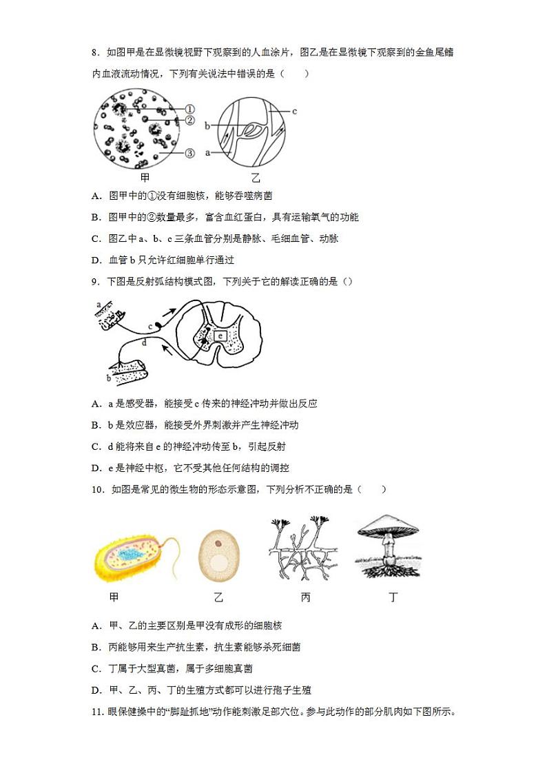 2023年中考押题预测卷01（南通卷）-生物（考试版）A403