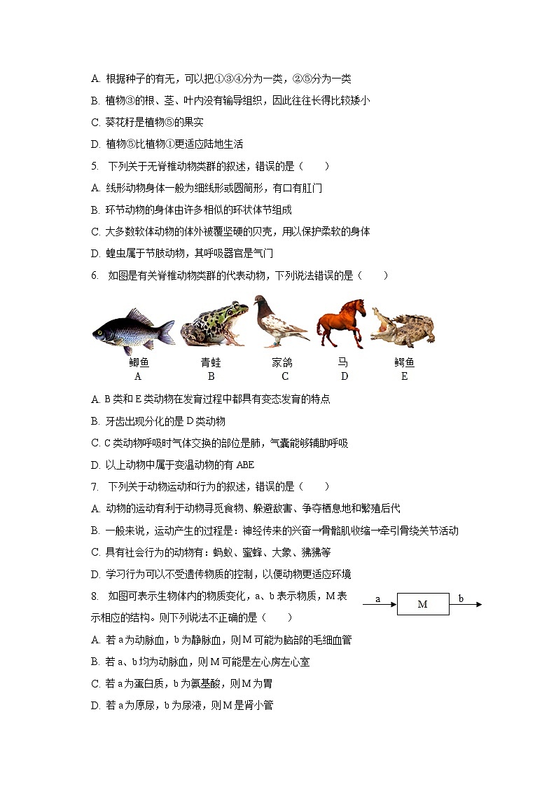 2023年山东省济南市槐荫区中考生物二模试卷（含解析）02