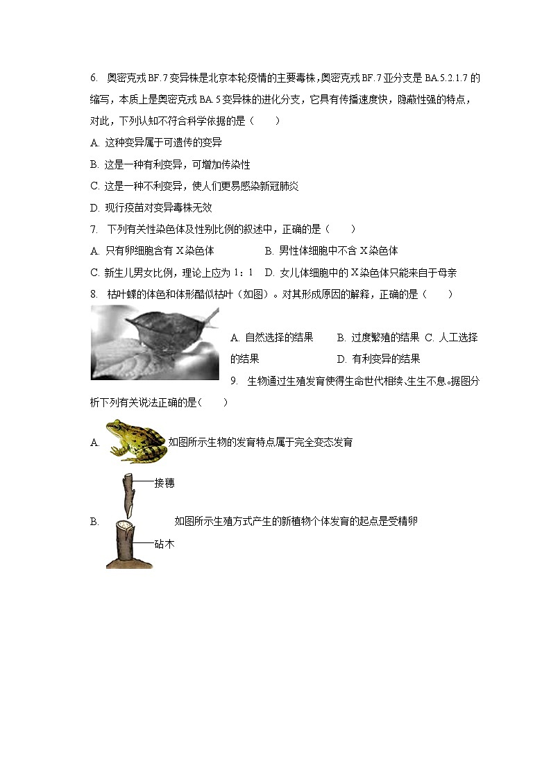 2022-2023学年山东省德州市武城县八年级（上）期末生物试卷（含解析）02