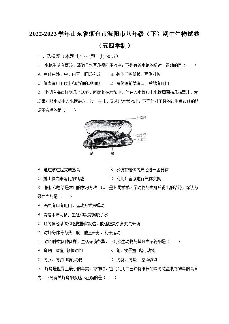 2022-2023学年山东省烟台市海阳市八年级（下）期中生物试卷（五四学制）（含解析）01