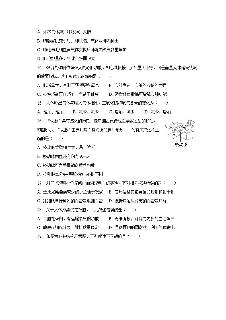 2022-2023学年北京二中教育集团七年级（下）期中生物试卷（含解析）03