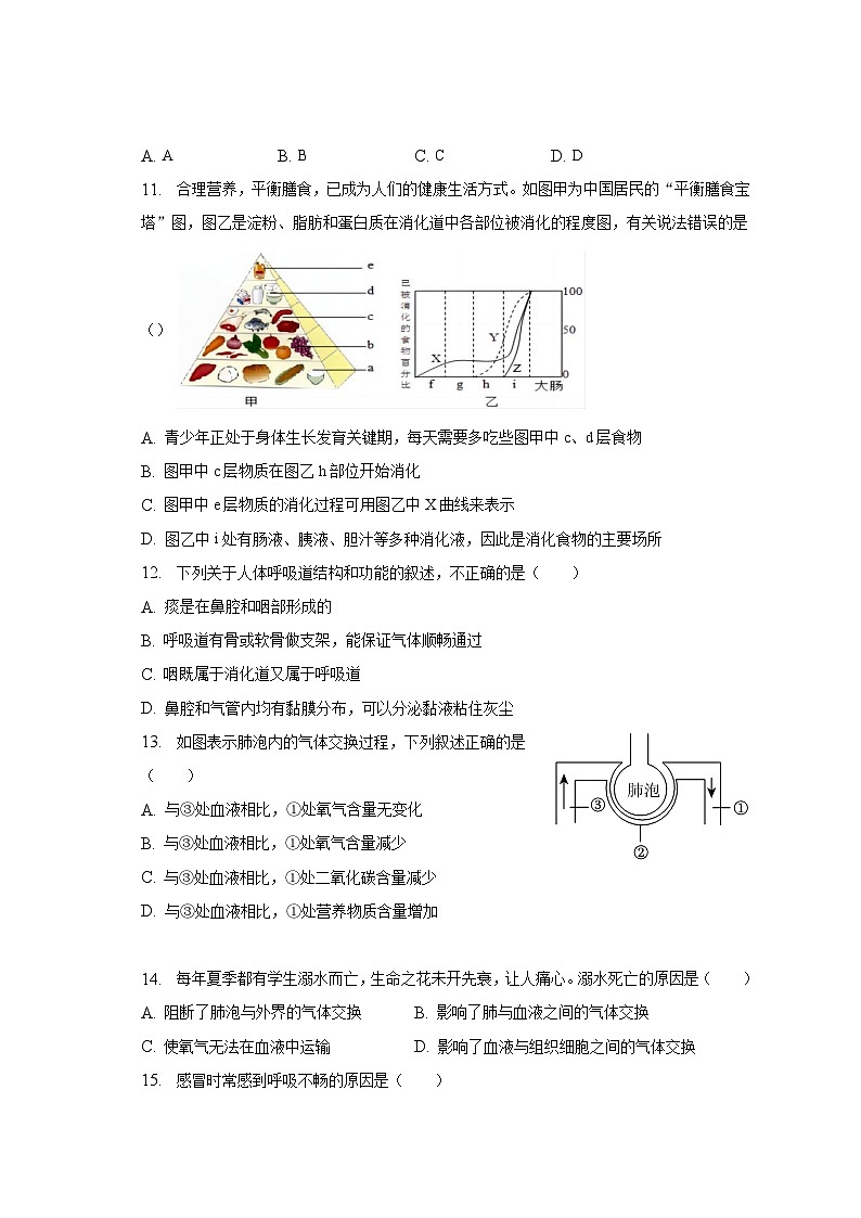 2022-2023学年广东省深圳市宝安区七年级（下）期中生物试卷（含解析）03