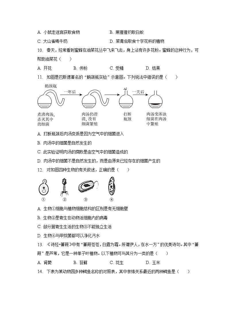 2022-2023学年河南省南阳市卧龙区八年级（上）期末生物试卷（含解析）第2页