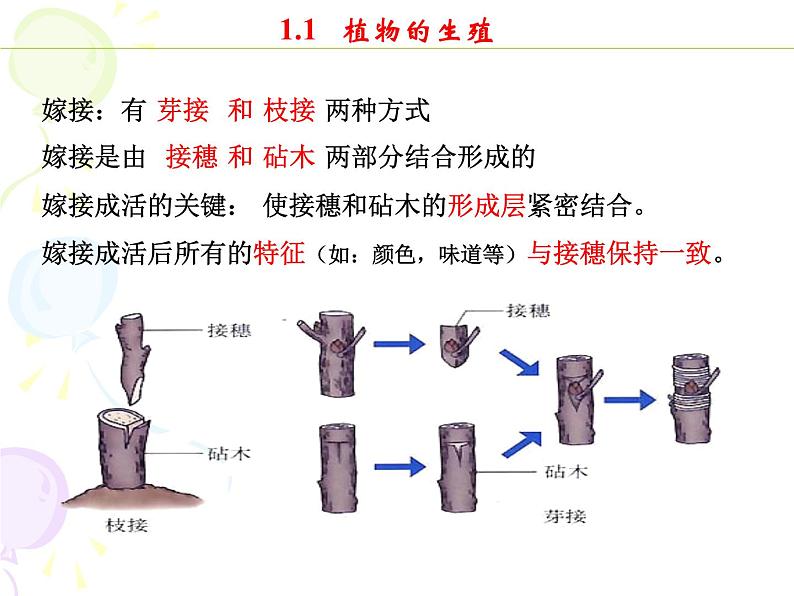 八下期末各章节考点归纳课件PPT第2页