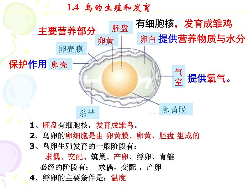 八下期末各章节考点归纳课件PPT第5页